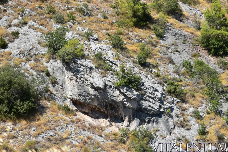 PHOTO Summer Rock Landscape