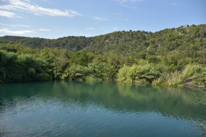 Lush Greenery and Tranquil Waters