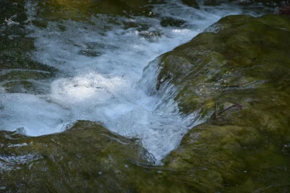 Peaceful Water Flow in Nature