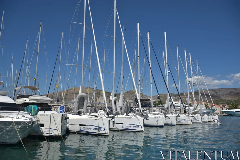 PHOTO Docked Sailboats in the Marina