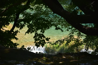 Tranquil Foliage Framing a Sunlit River