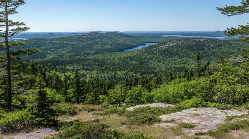 Lush Green Mountain Forest and Scenic Lake View