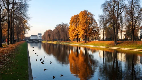 Serene Fall Landscape with Reflective Water and Wildlife