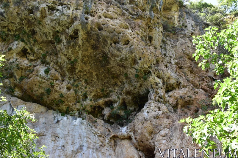 Rugged Cliffside with Greenery Free Stock Photo