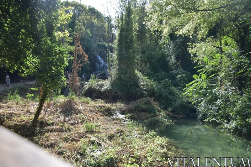 PHOTO Tranquil Waterfall in Verdant Woods