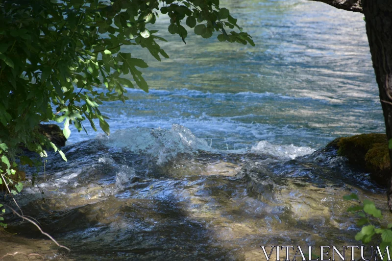 Calm River Scene in Nature Free Stock Photo