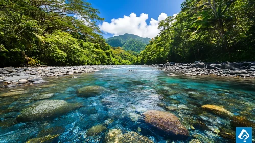 Tranquil River Flowing Through Forest with Mountain View