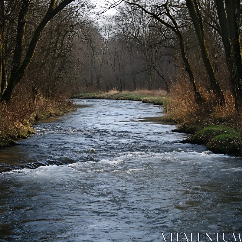 Calm River Amidst a Forest AI Image