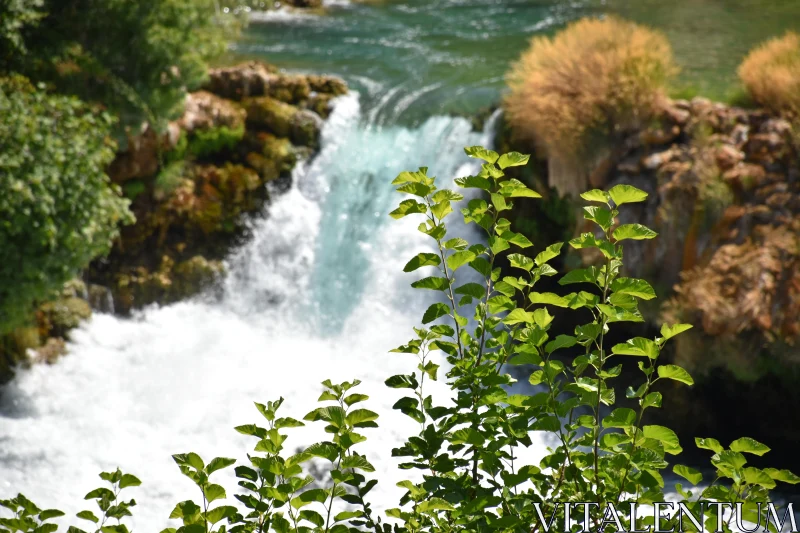 PHOTO Picturesque Waterfall and Green Scene