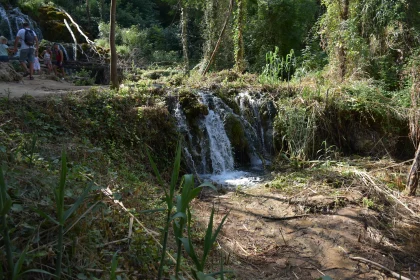 Peaceful Woodland Cascade