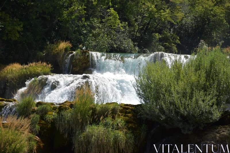 Serene Forest Waterfall Free Stock Photo