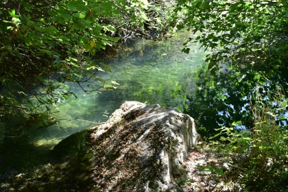 Nature's Tranquil Sanctuary by the Creek