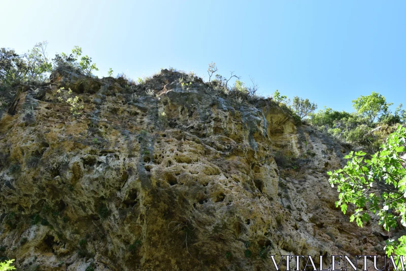 Erosion-Patterned Cliff with Vegetation Free Stock Photo