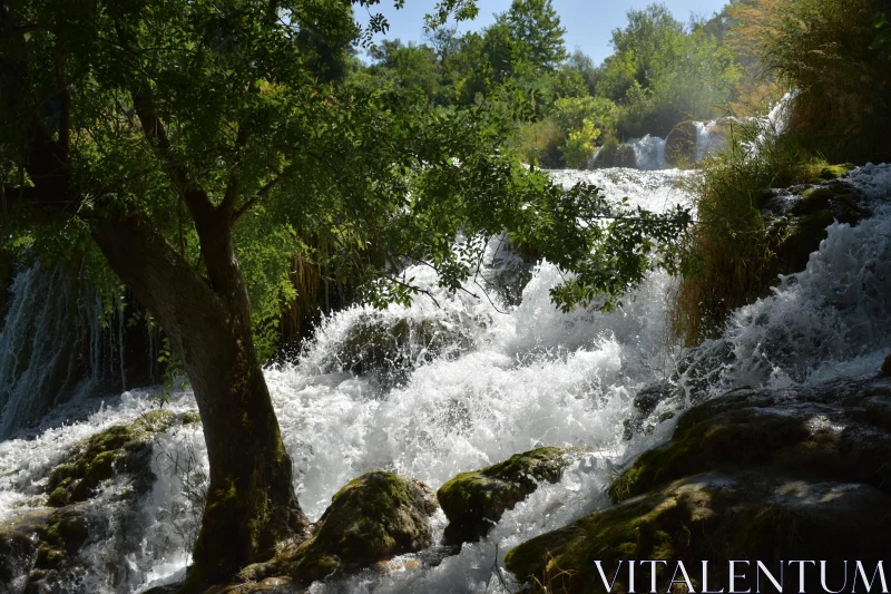 PHOTO Peaceful Cascading Waters