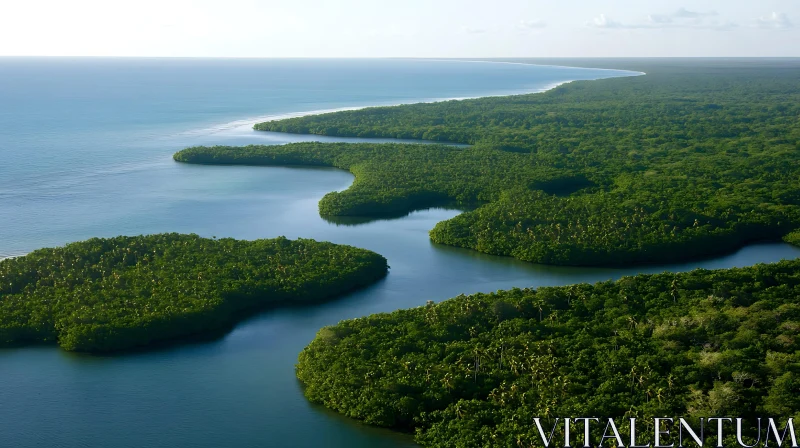 Scenic Aerial Landscape of Dense Greenery and Ocean AI Image