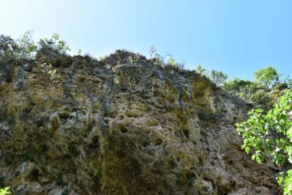 Erosion-Patterned Cliff with Vegetation