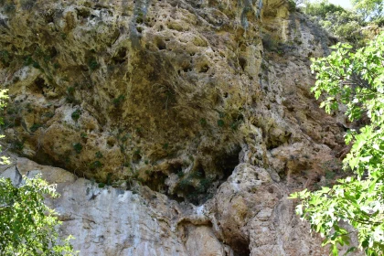 Rugged Cliffside with Greenery