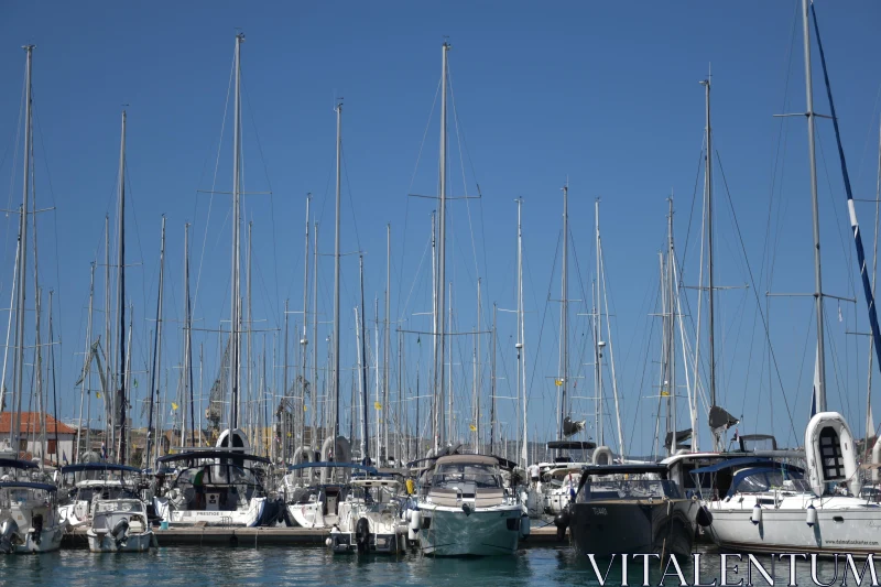 Serene Boats Docked in Harbor Free Stock Photo