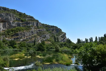 Tranquil River and Lush Cliffs