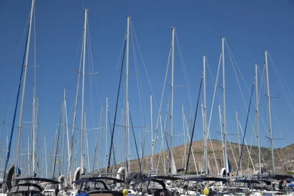 Array of Sailboat Masts