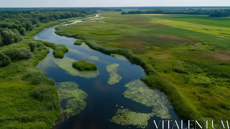 Aerial Shot of Verdant River Landscape AI Image