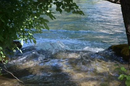 Calm River Scene in Nature