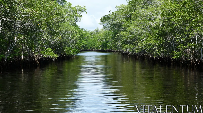 Serene Waterway in a Lush Forest Setting AI Image