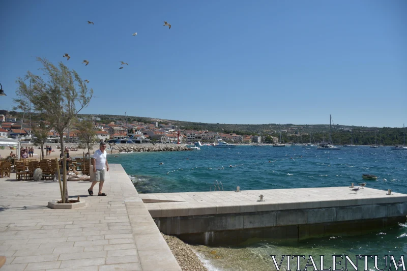 PHOTO Charming Harbor in Croatia under Blue Skies