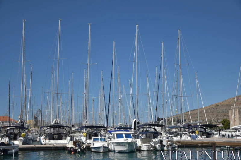 Yachts at a Busy Croatian Harbor Free Stock Photo