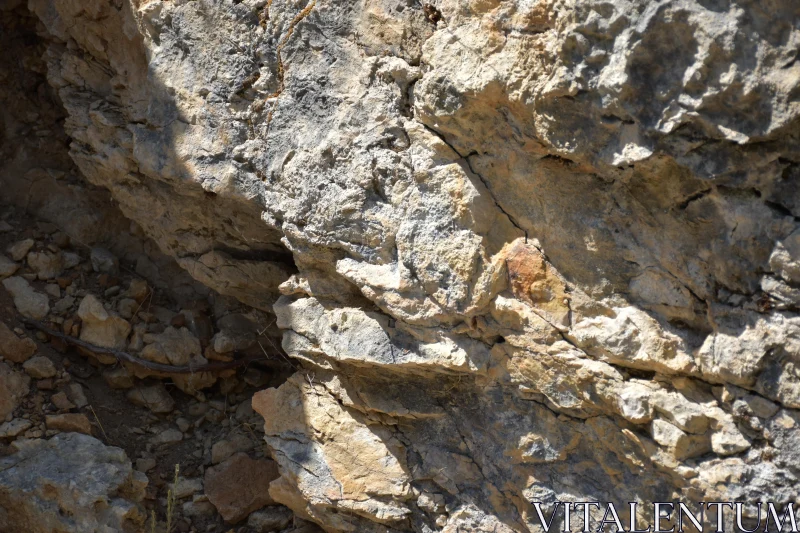 PHOTO Intricate Rocky Surface Image