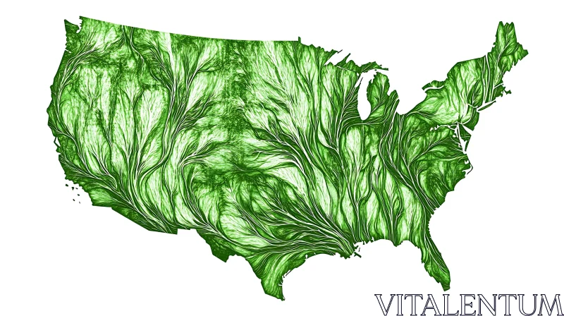 Intricate Green Vein USA Map AI Image