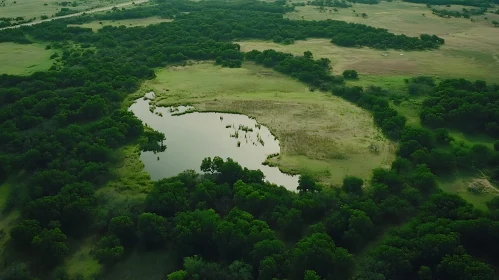 Scenic Forest Lake from Above