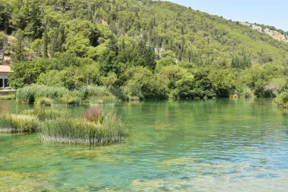 Calm Waters and Forested Hills