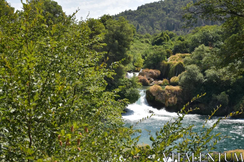 Idyllic Cascade Amidst Verdant Woods Free Stock Photo