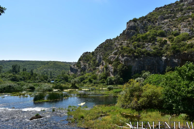 Tranquil Scene of Nature by the River Free Stock Photo