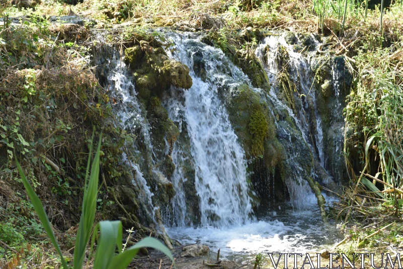 PHOTO Tranquil Cascading Waters