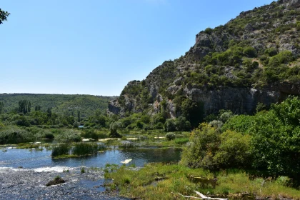 Tranquil Scene of Nature by the River