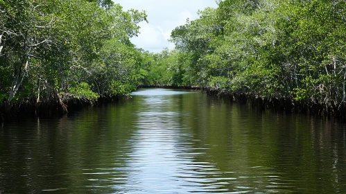 Serene Waterway in a Lush Forest Setting