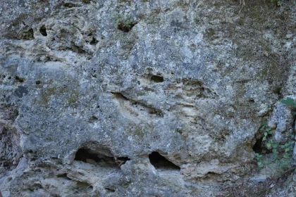 Intricate Erosion Patterns on a Rockface