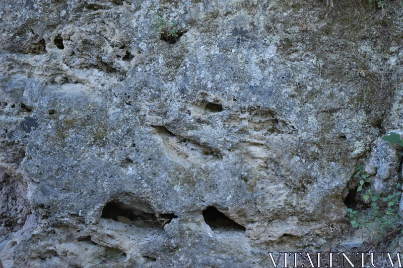 Intricate Erosion Patterns on a Rockface Free Stock Photo