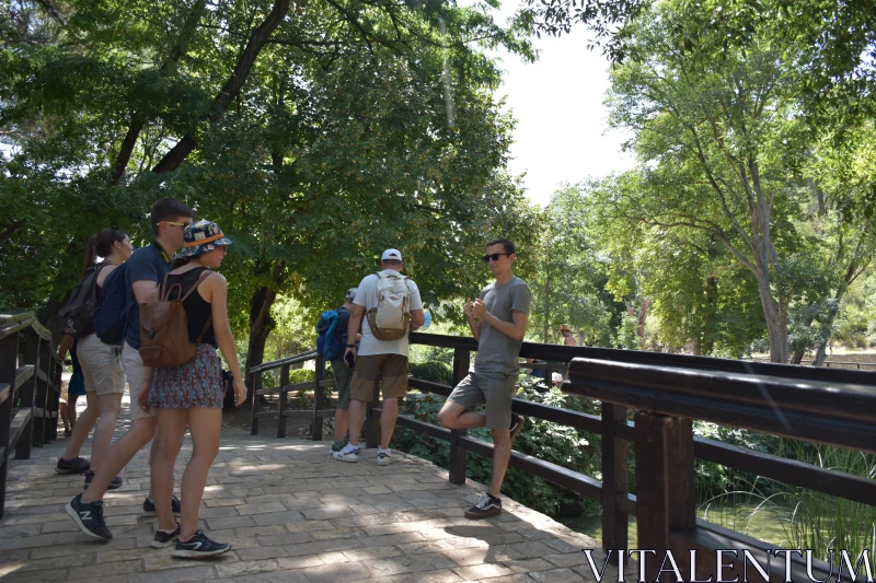 PHOTO Sunny Day on a Wooden Bridge