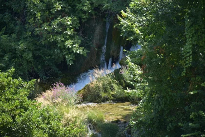 Peaceful Cascades in Verdant Surroundings