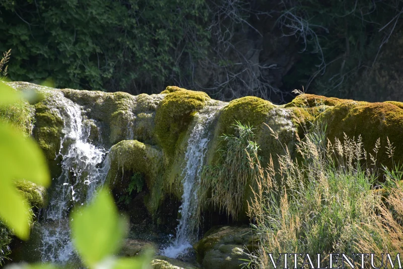 PHOTO Waterfall and Greenery in Forest