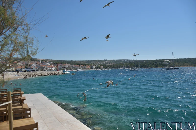 PHOTO Serene Mediterranean Coastline Scene