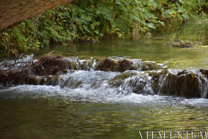 PHOTO Serene Waterfall in Greenery