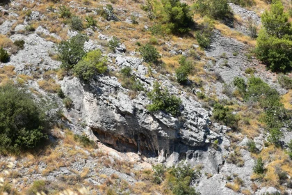 Summer Rock Landscape