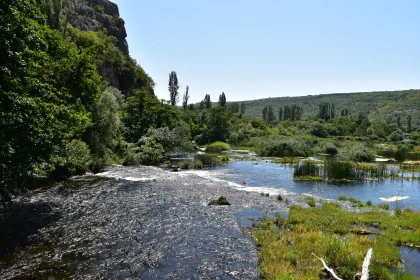 Serene Nature with Flowing River