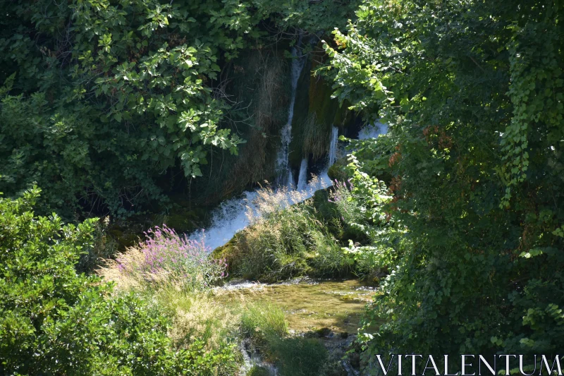 PHOTO Peaceful Cascades in Verdant Surroundings