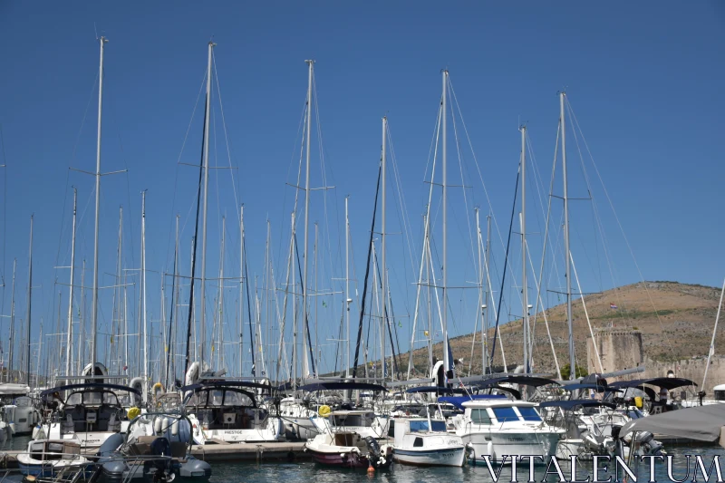 Croatian Sailboat Marina Free Stock Photo