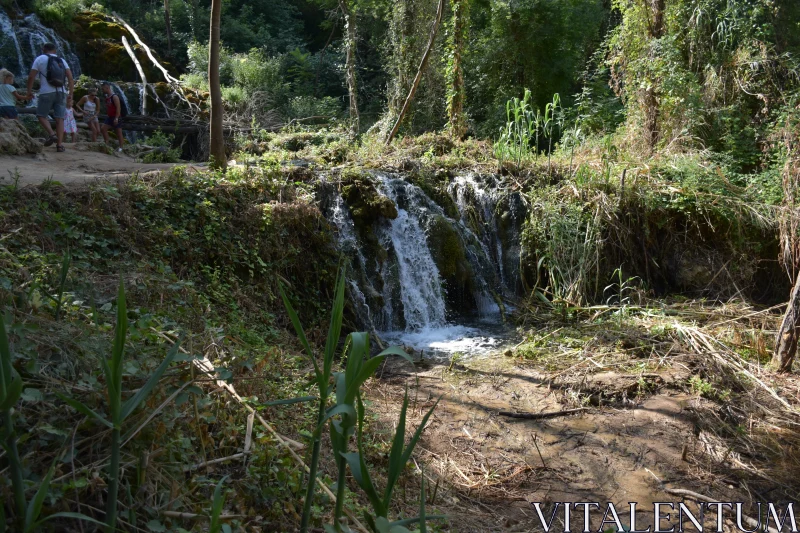 PHOTO Peaceful Woodland Cascade